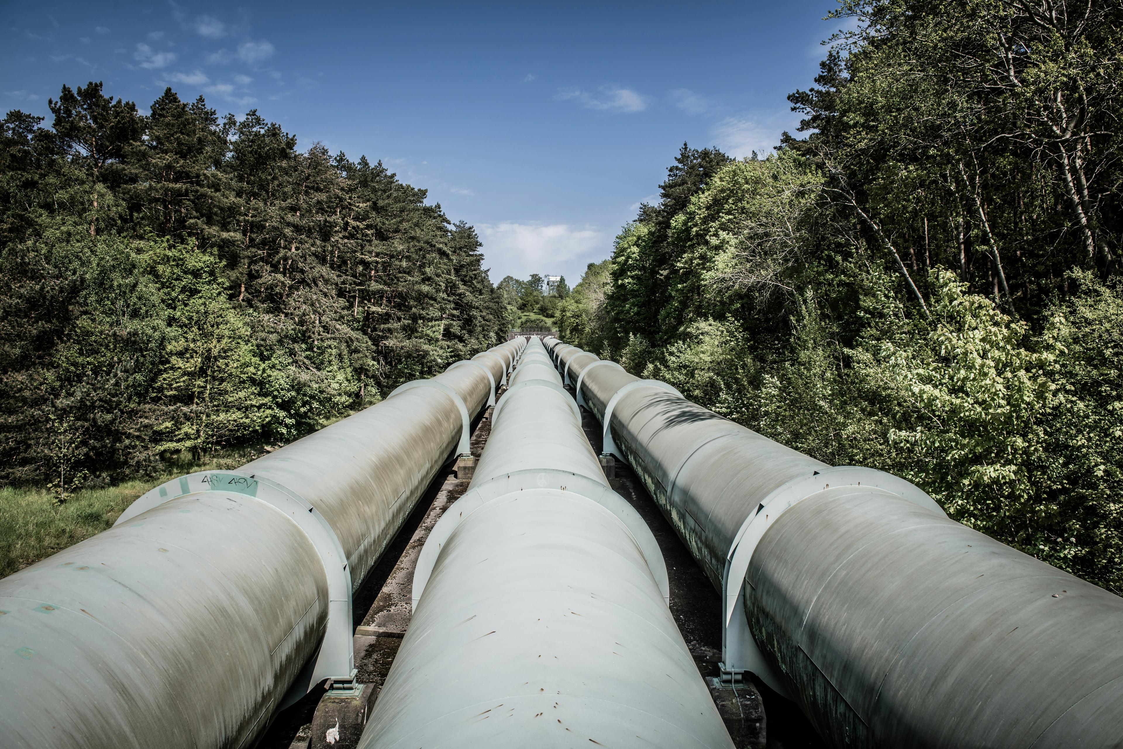 Pipeline corridor through forested terrain